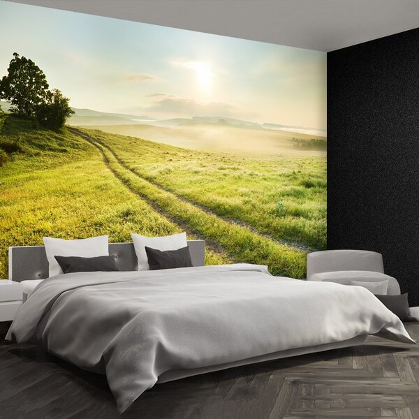 Fototapet Meadow Și Sunrise