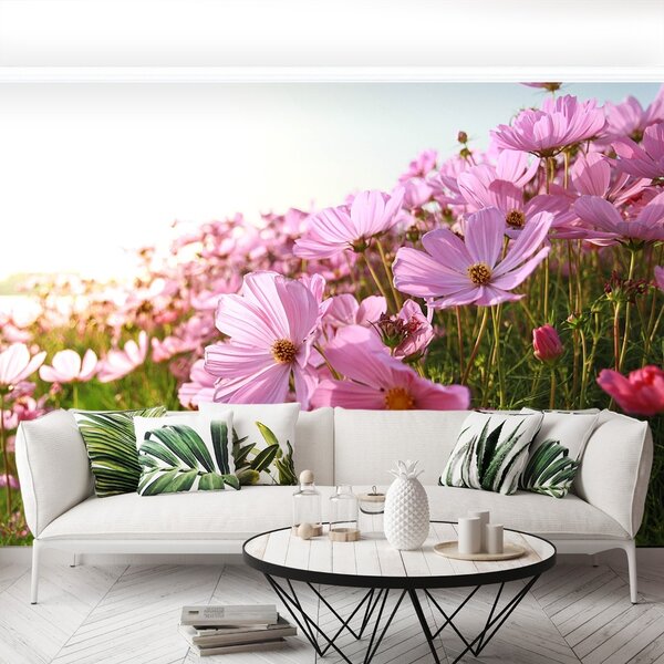 Fototapet Cosmos Flower