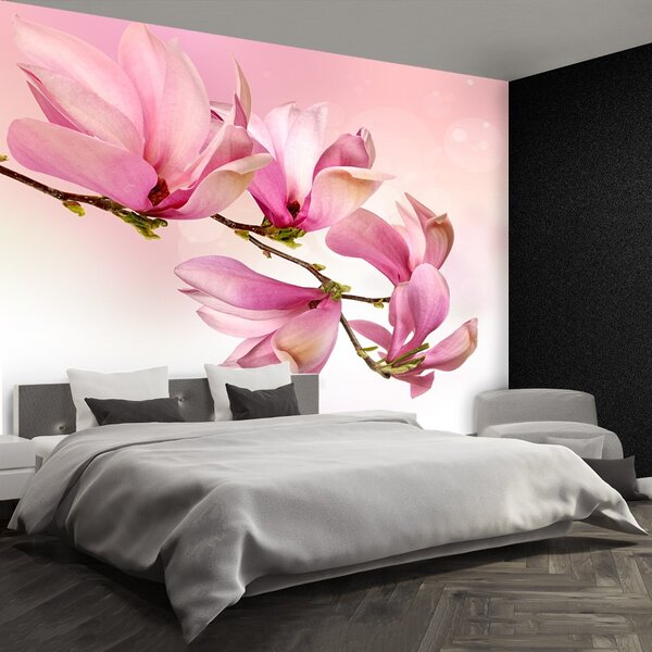 Fototapet Magnolie