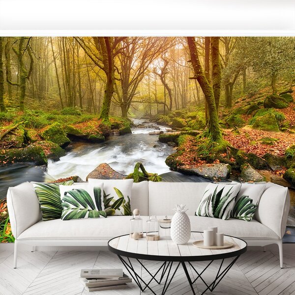 Fototapet River Forest