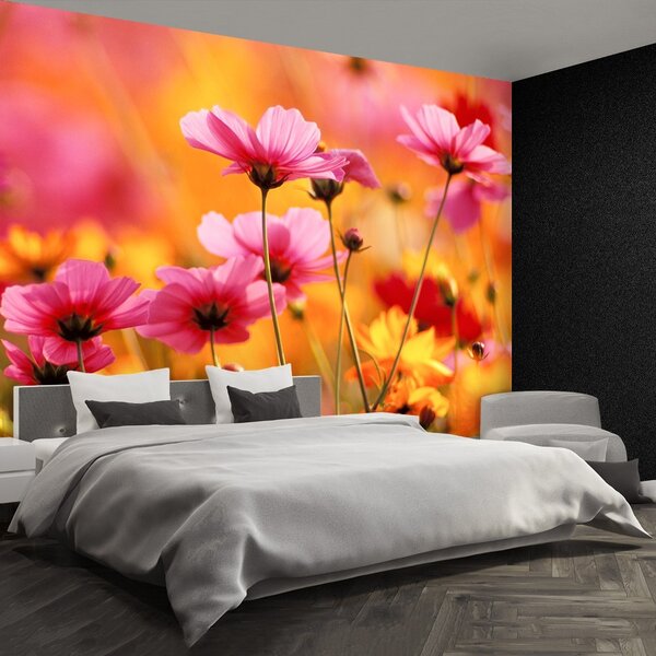 Fototapet Cosmos Garden