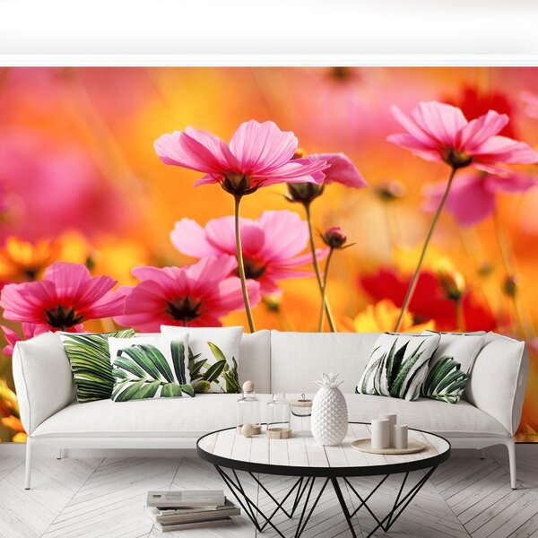 Fototapet Cosmos Garden