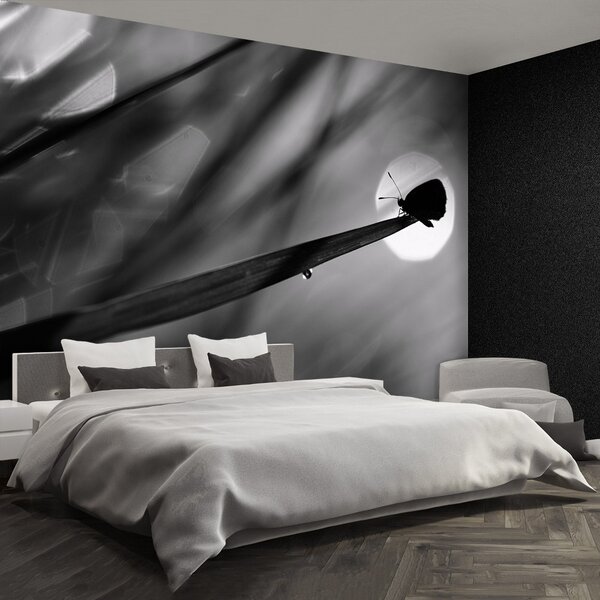 Fototapet Fluture