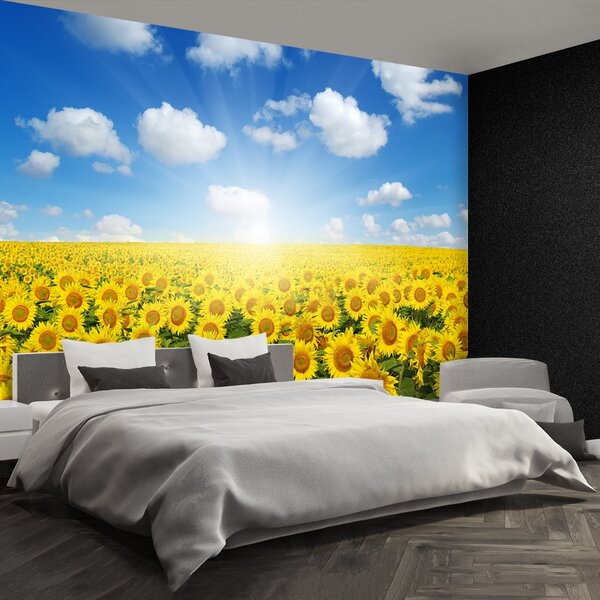 Fototapet Domeniu de Sunflowers