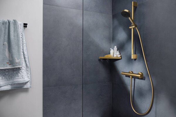 Hansgrohe Ecostat Fine baterie de duș perete cu termostat || 13324140