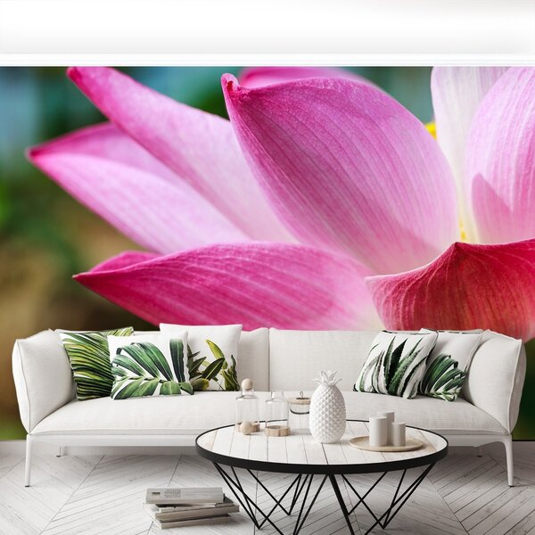 Fototapet roz Lotus