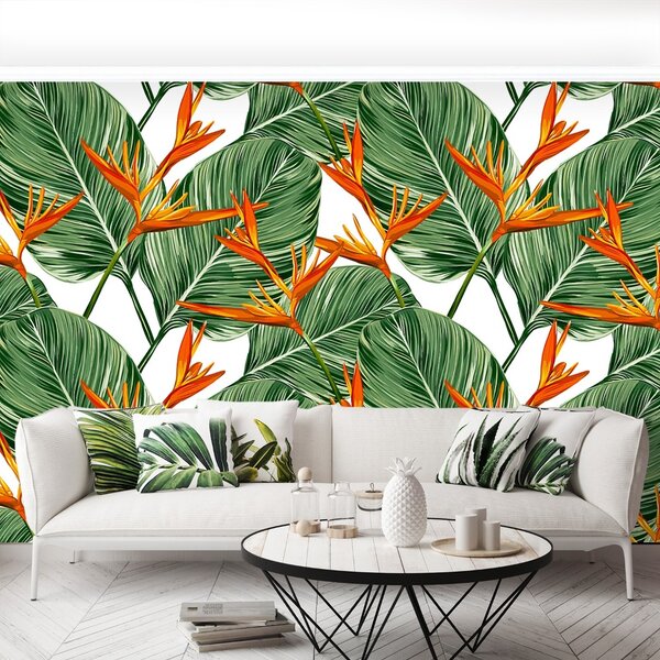 Fototapet Royal Strelitzia