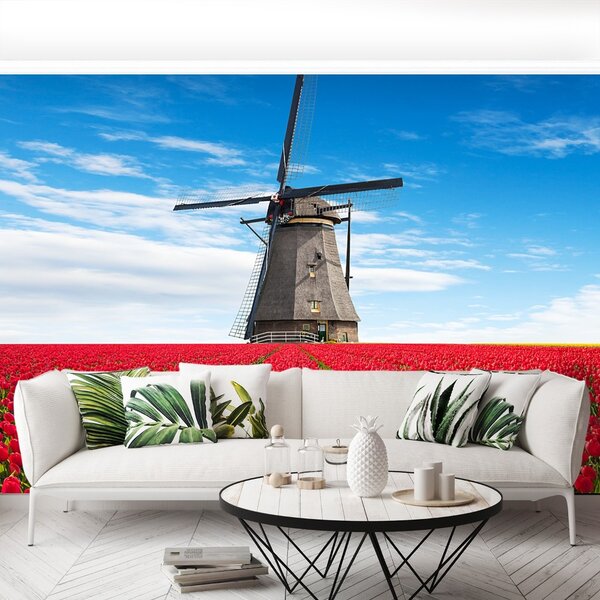 Fototapet Windmill Lalele