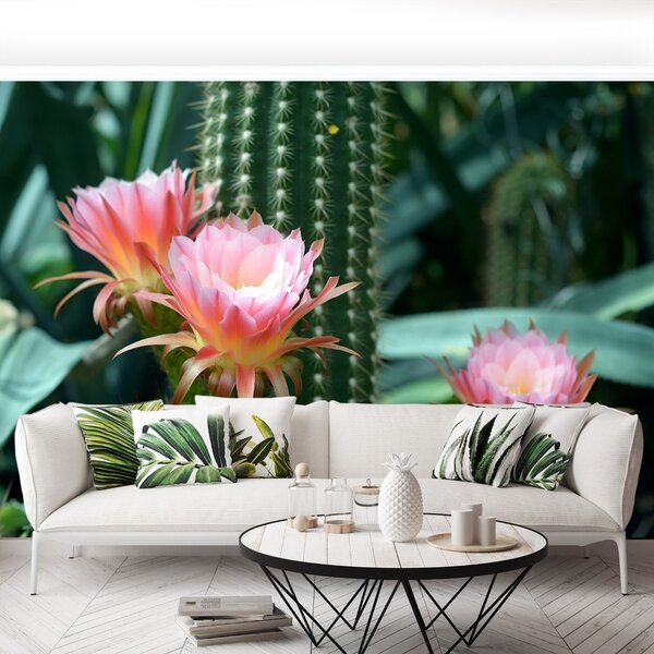 Fototapet Cactus Flower