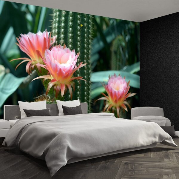 Fototapet Cactus Flower