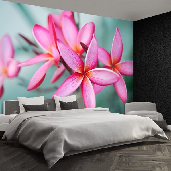 Fototapet Pink Plumeria