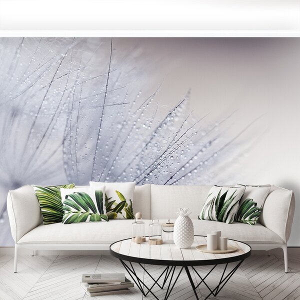 Fototapet Seminte dandelion