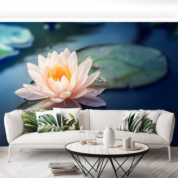 Fototapet Lotus Flower Pond