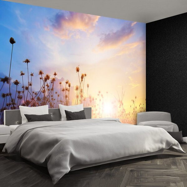 Fototapet Flori Meadow