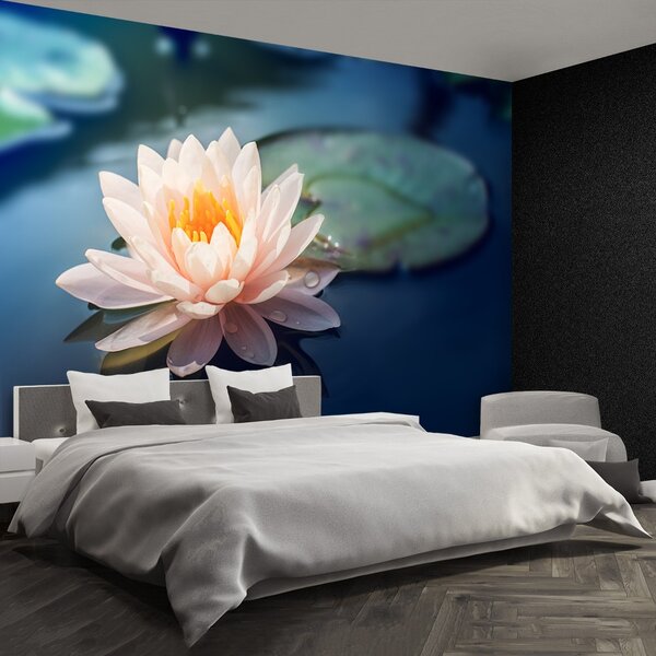 Fototapet Lotus Flower Pond