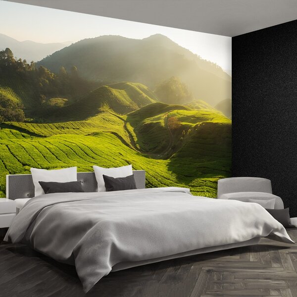Fototapet Tea Plantation