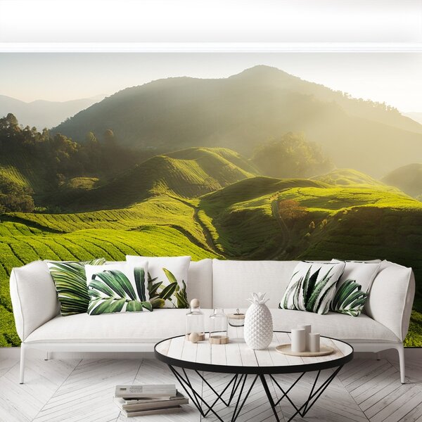 Fototapet Tea Plantation