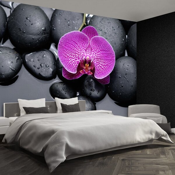 Fototapet Orchid Stones