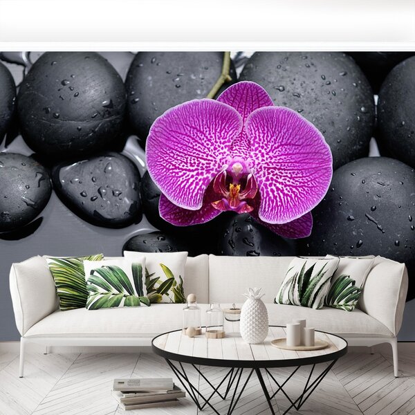 Fototapet Orchid Stones
