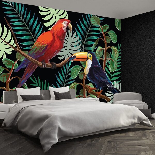Fototapet Ara Toucan