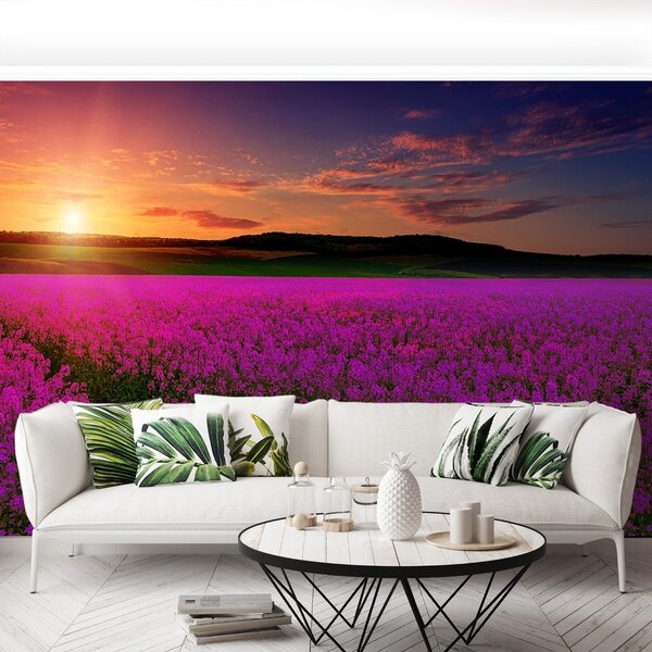 Fototapet Pink Meadow