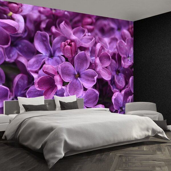 Fototapet Violet Flori
