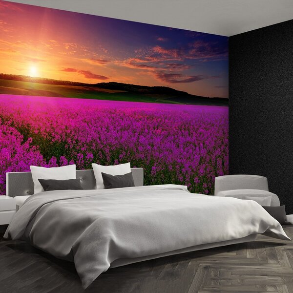 Fototapet Pink Meadow