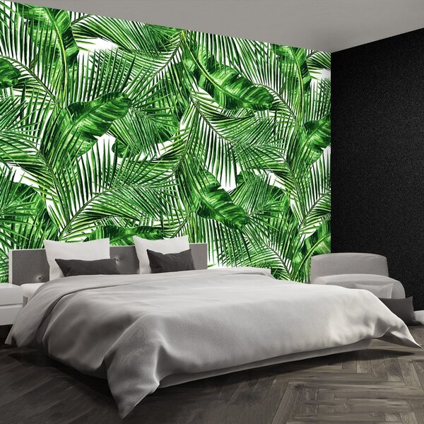 Fototapet Frunze tropicale