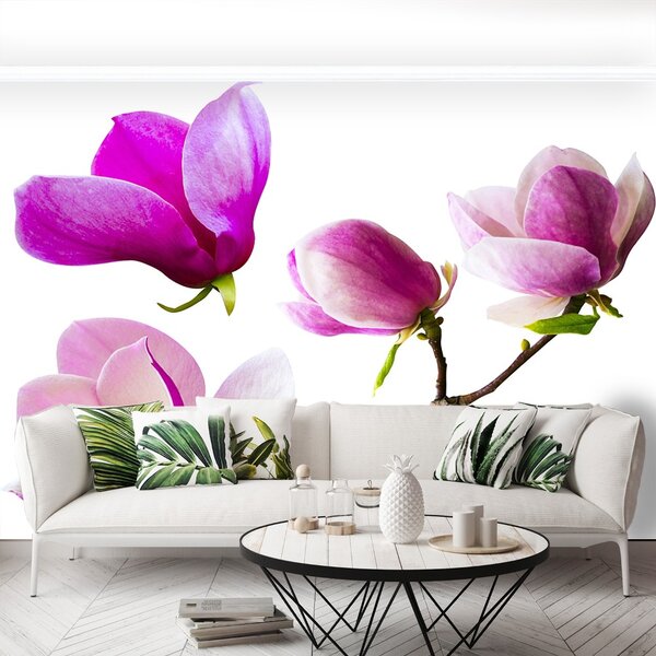 Fototapet Magnolia Flori