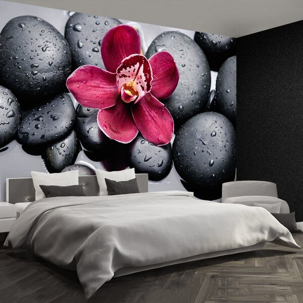 Fototapet Orchid Stones