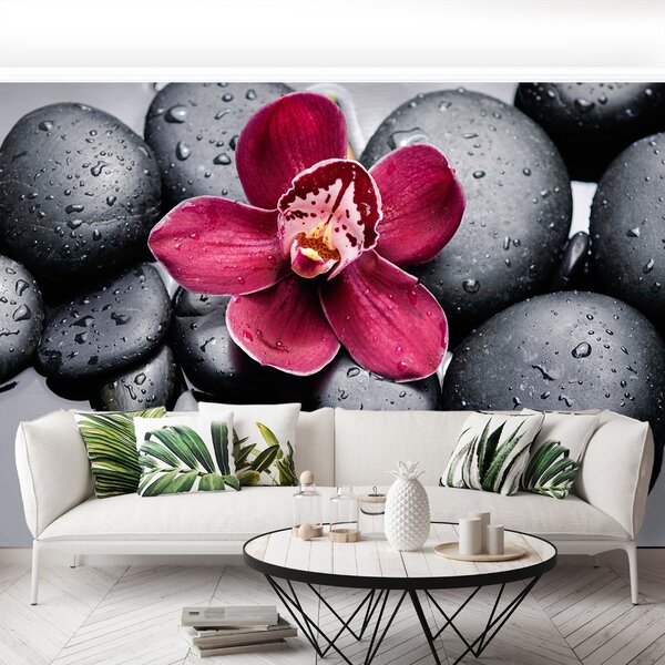 Fototapet Orchid Stones
