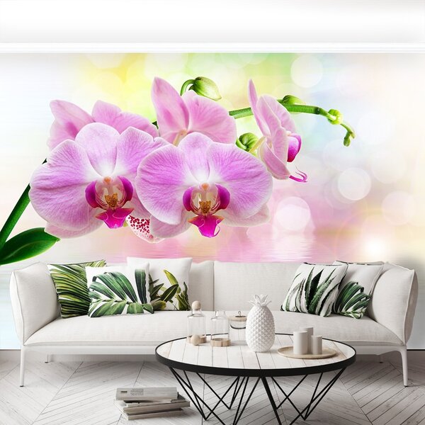 Fototapet Orchid Roses