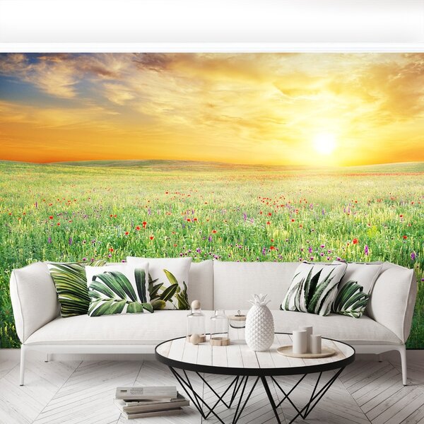 Fototapet Spring Meadow