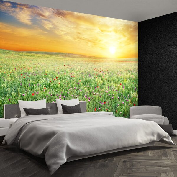 Fototapet Spring Meadow