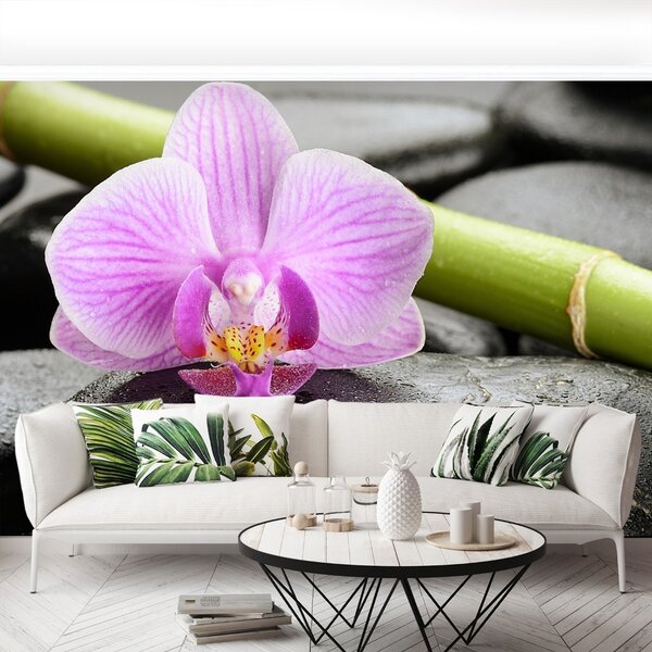 Fototapet Orchid Stones