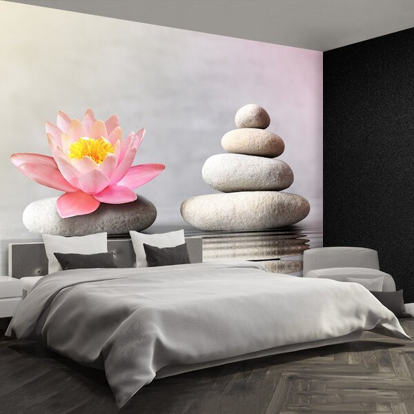 Fototapet Spa pietre