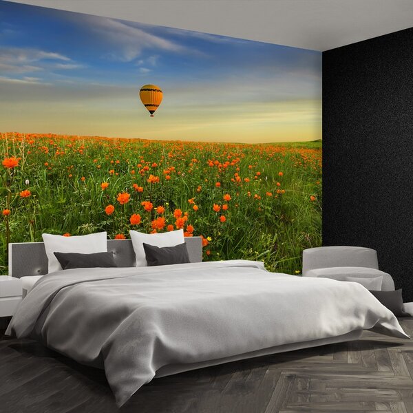 Fototapet Meadow balon