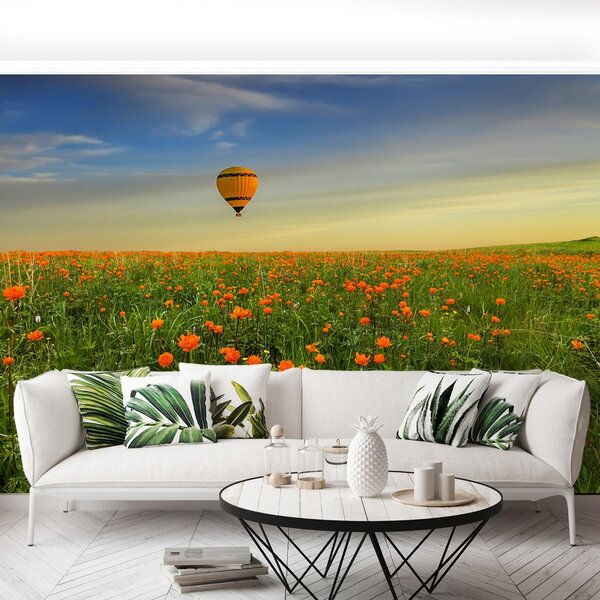 Fototapet Meadow balon