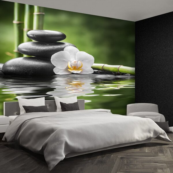 Fototapet Orchid Zen