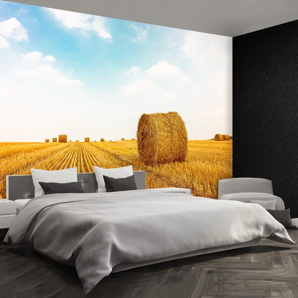 Fototapet paie Bales