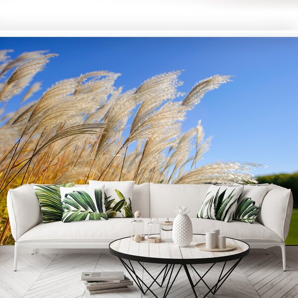 Fototapet Albastru Reed