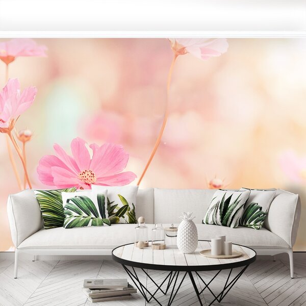 Fototapet Roz Cosmos Flori