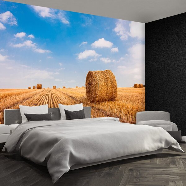 Fototapet paie Bales