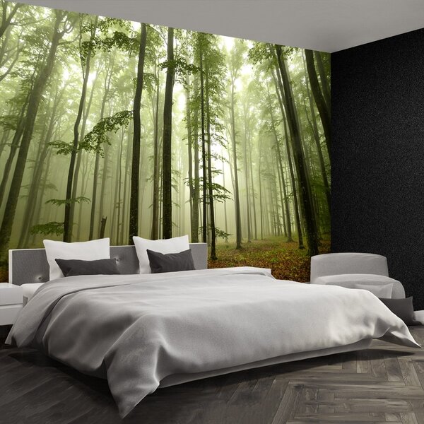 Fototapet Misty Forest