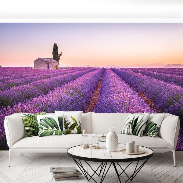 Fototapet Provence Lavandă