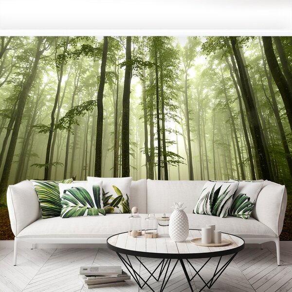 Fototapet Misty Forest