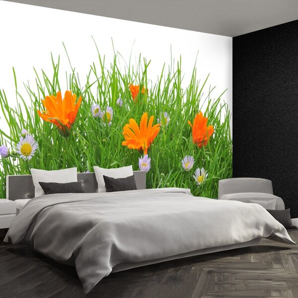Fototapet Paste Flori