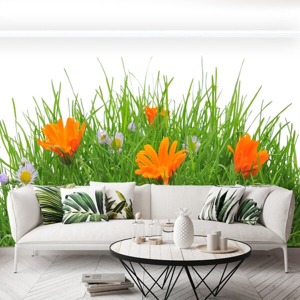 Fototapet Paste Flori