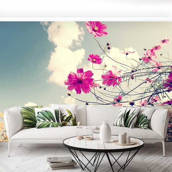 Fototapet Cosmos Flori