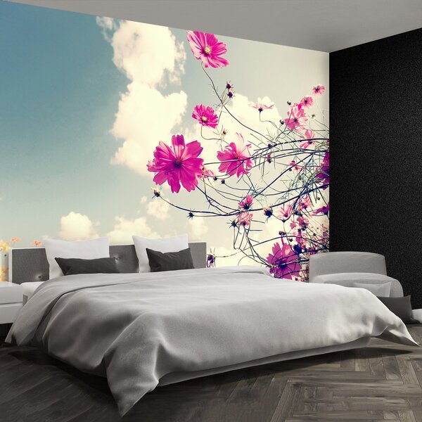 Fototapet Cosmos Flori